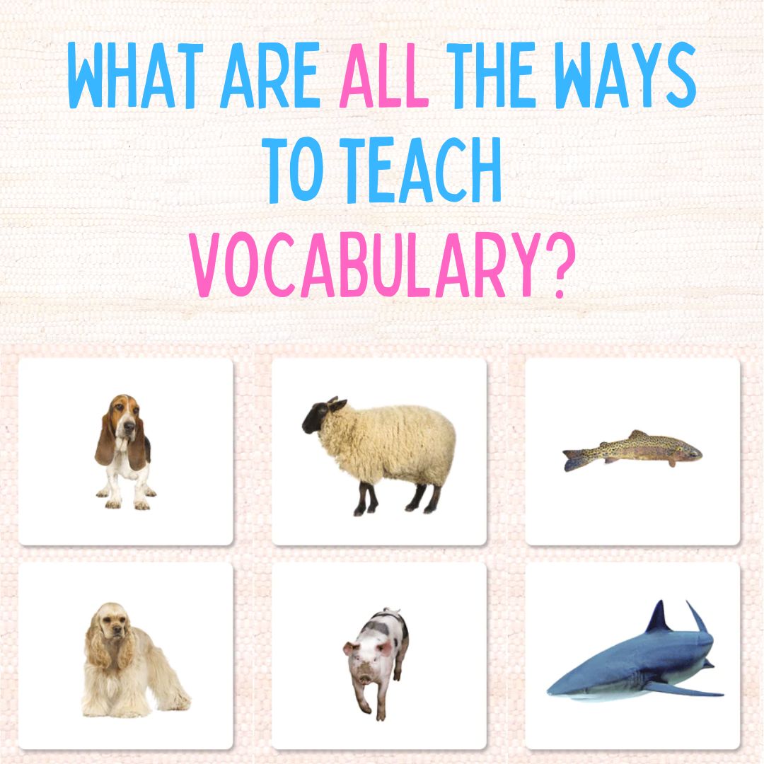 All the ways to teach vocabulary