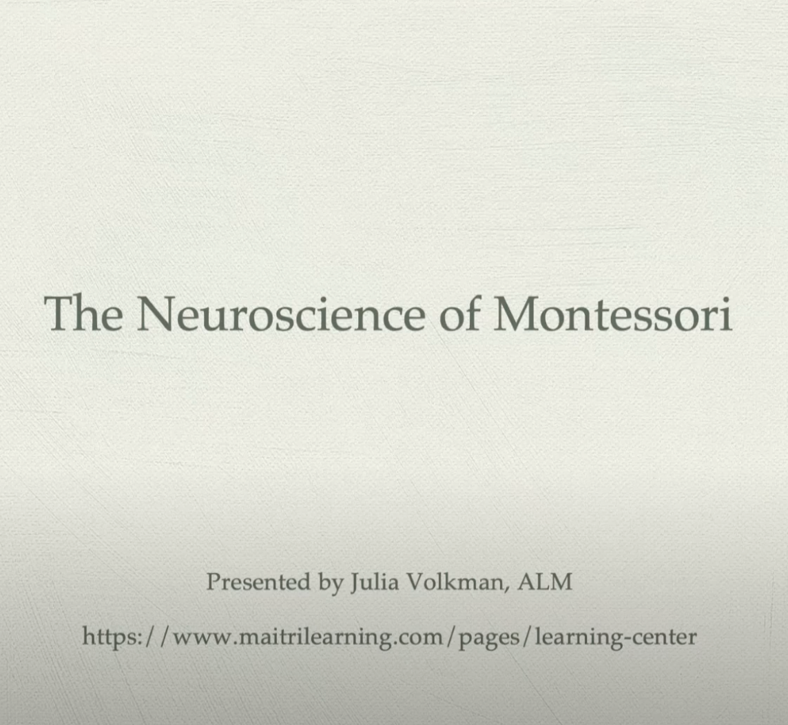 Montessori & Neuroscience