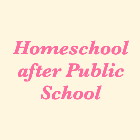 Homeschooling after public school