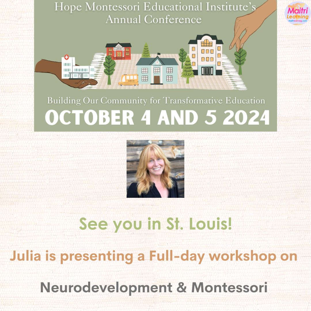 Julia presenting at Hope Montessori Conference