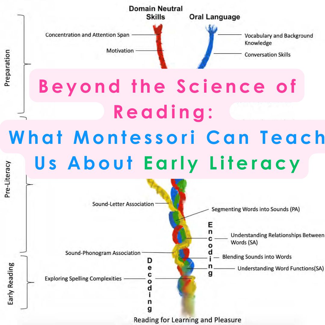 Beyond the Science of Reading: What Montessori Can Teach Us About Early Literacy