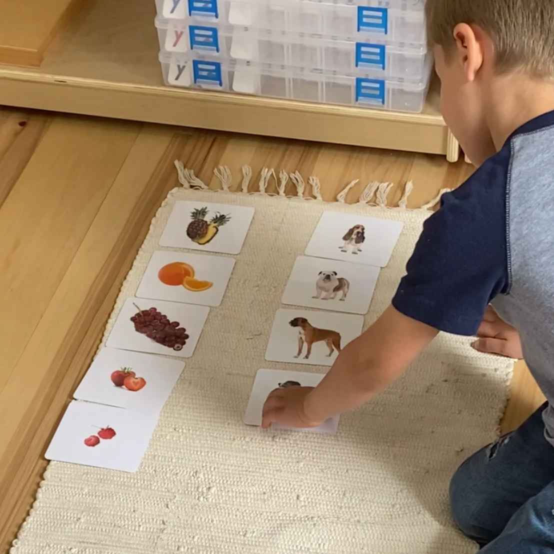 What are the best sorting games?