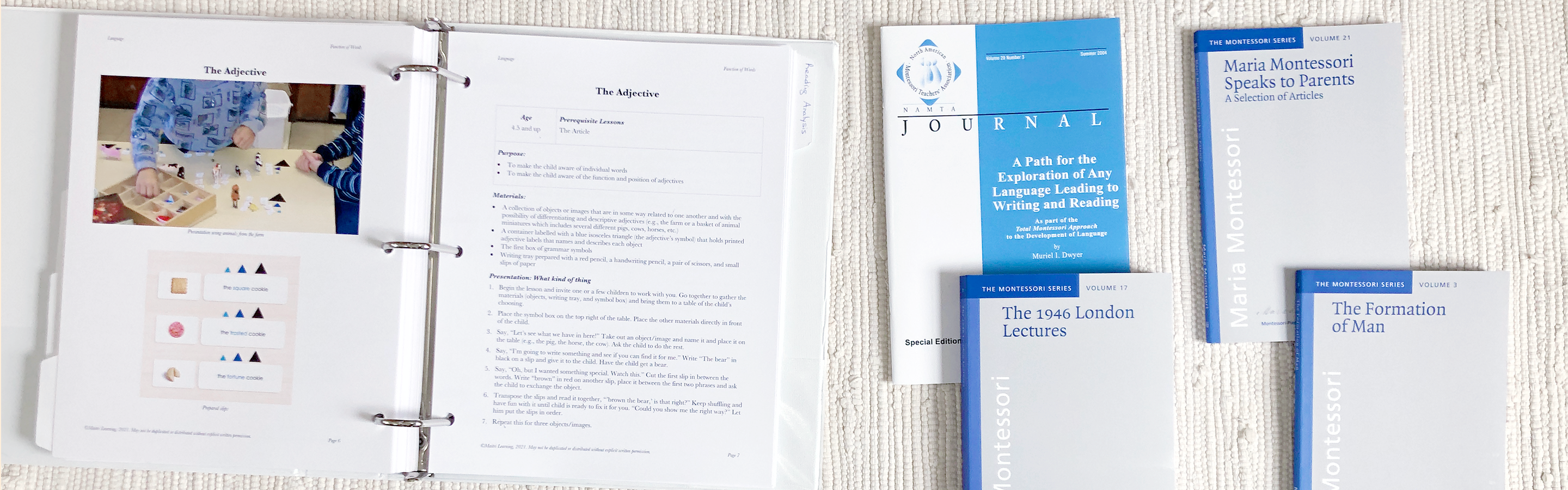 Professional Development