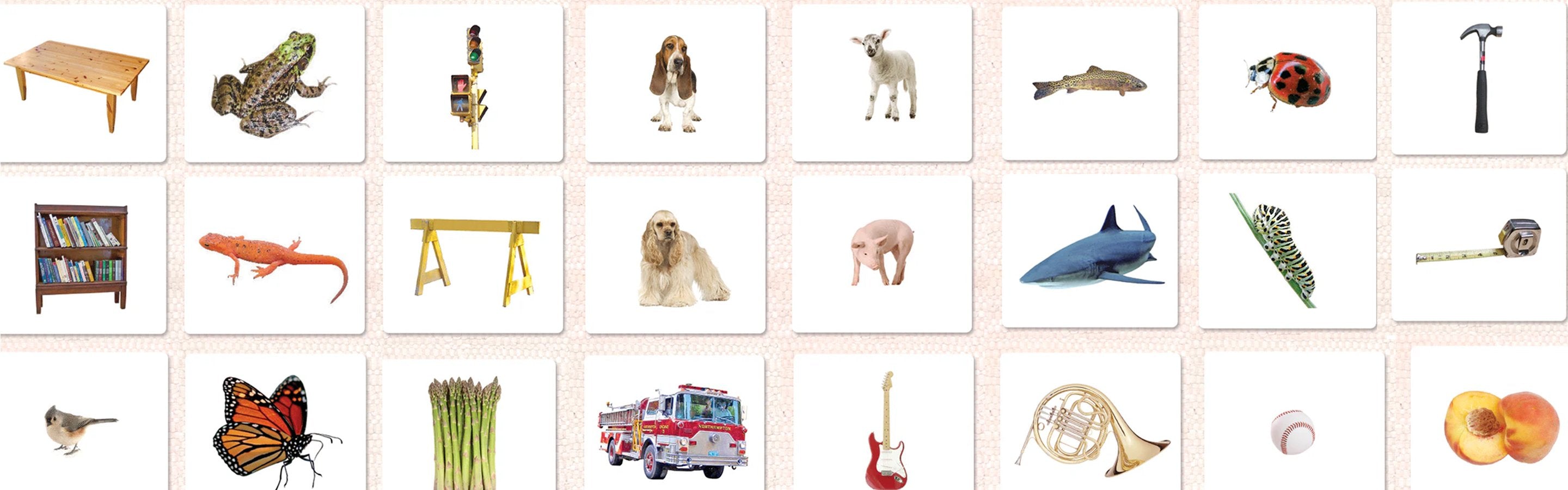 Vocabulary Cards