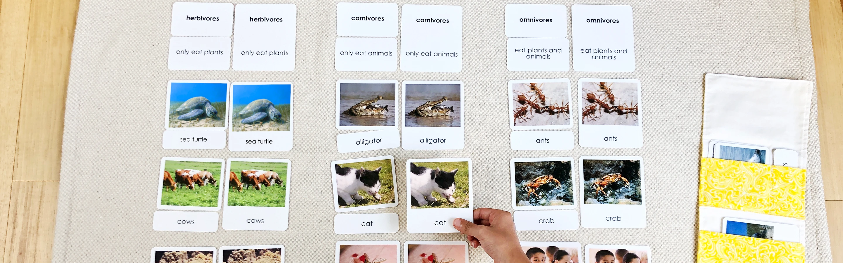 science language learning