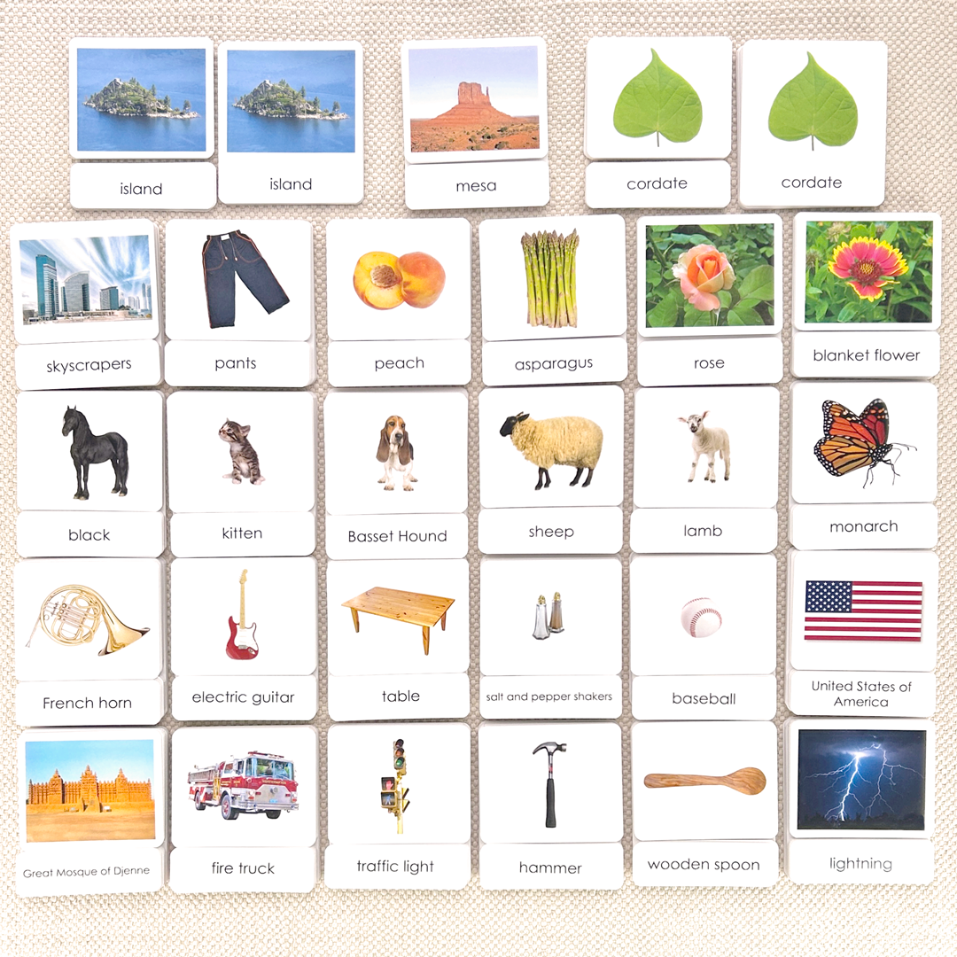 Common Nouns 3-Part Card Bundles