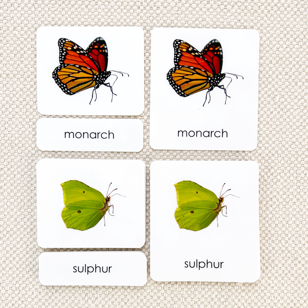 Butterflies 3-Part Reading