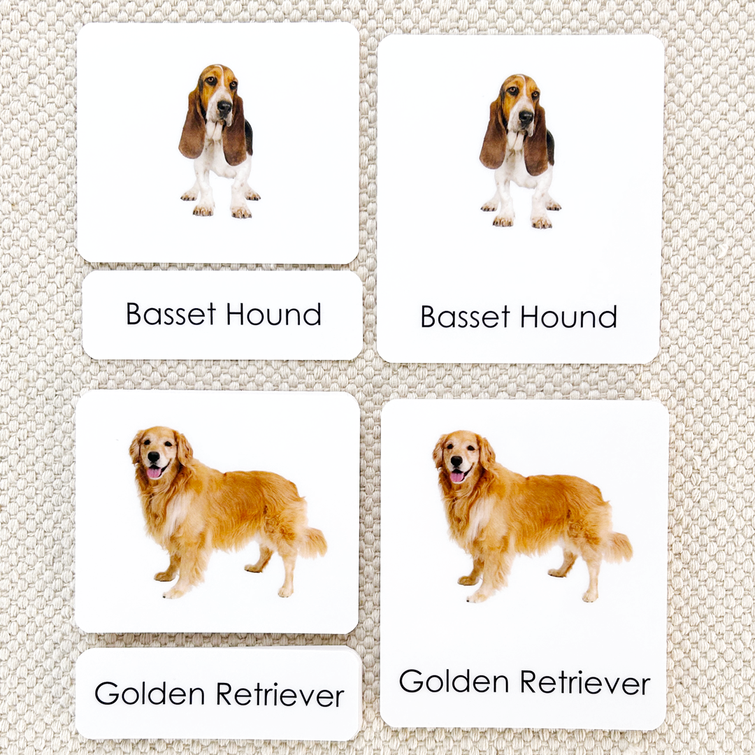 Dogs 3-Part Reading