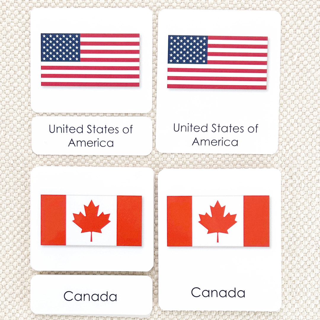 Flags of North America 3-Part Reading