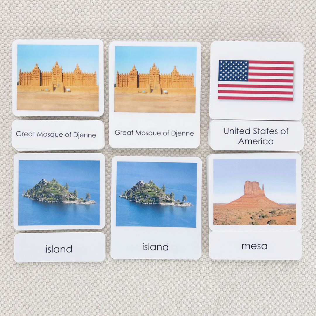 Common Nouns 3-Part Card Bundles
