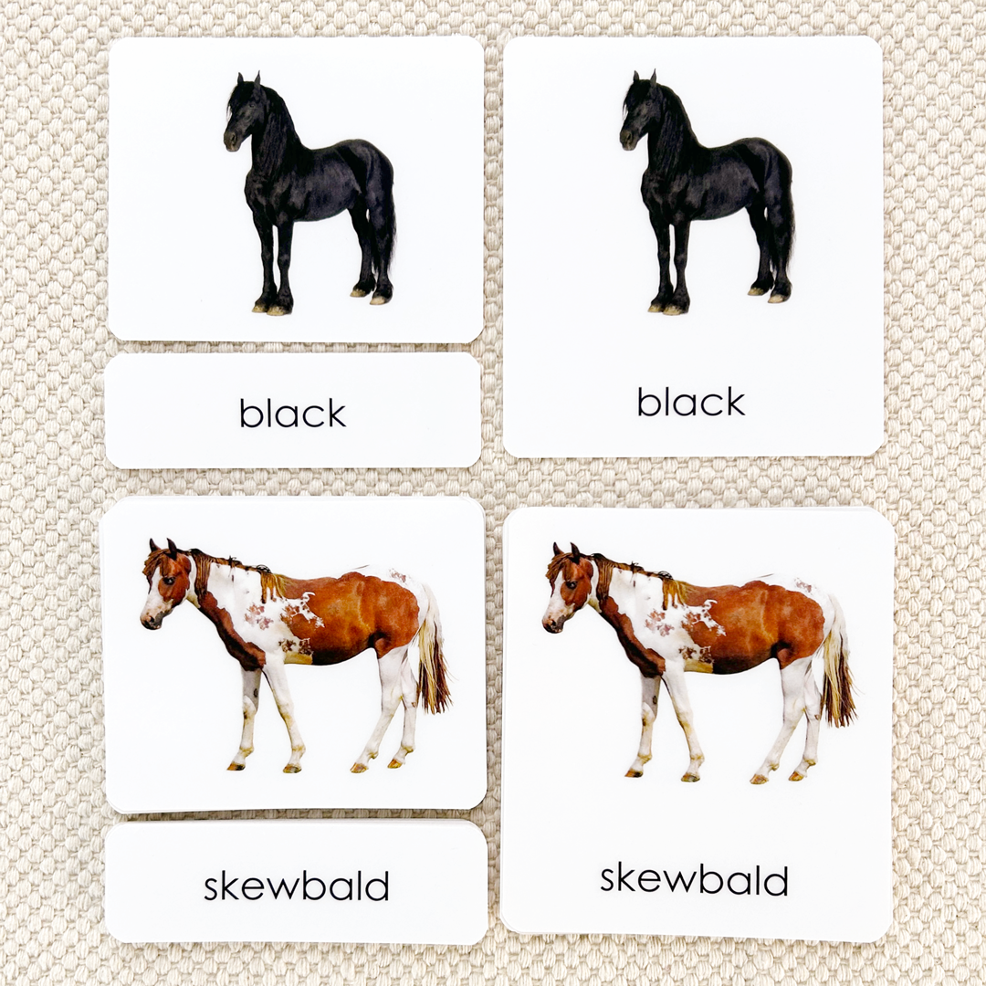 Horses (Coat Colors) 3-Part Reading