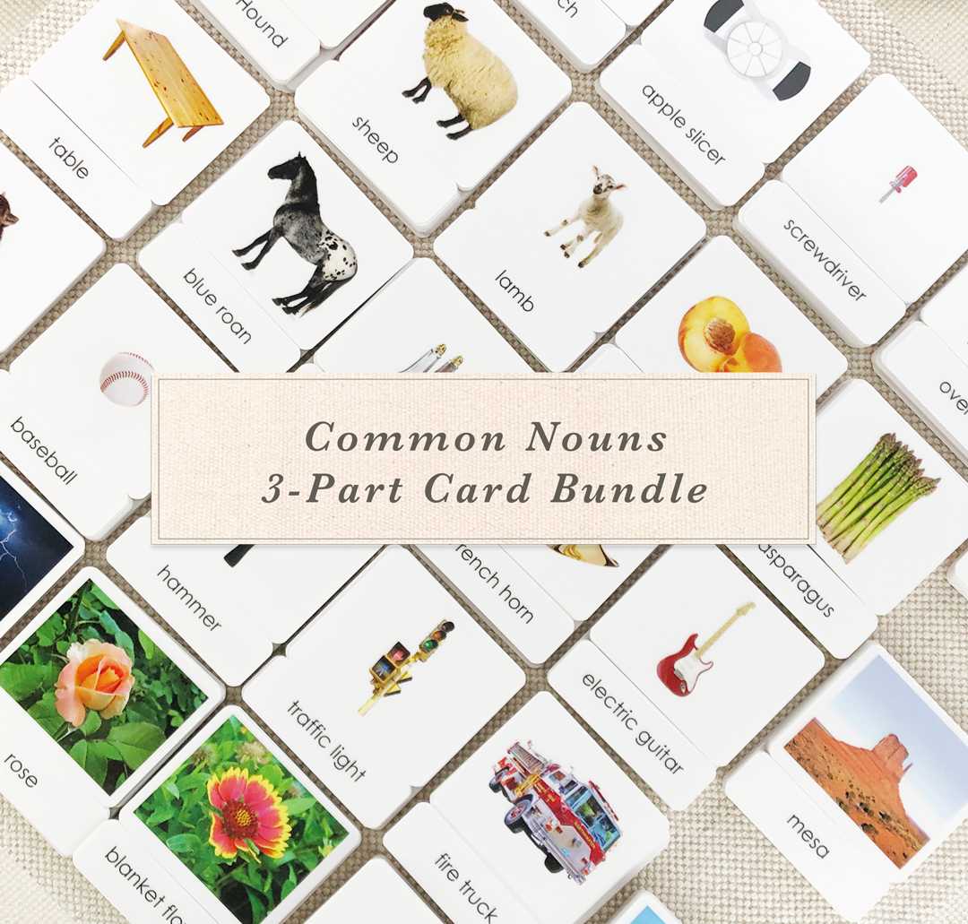 Common Nouns 3-Part Card Bundles