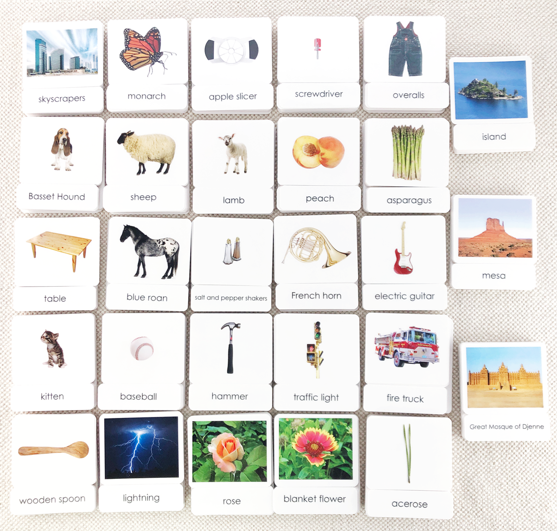 Common Nouns 3-Part Card Bundles