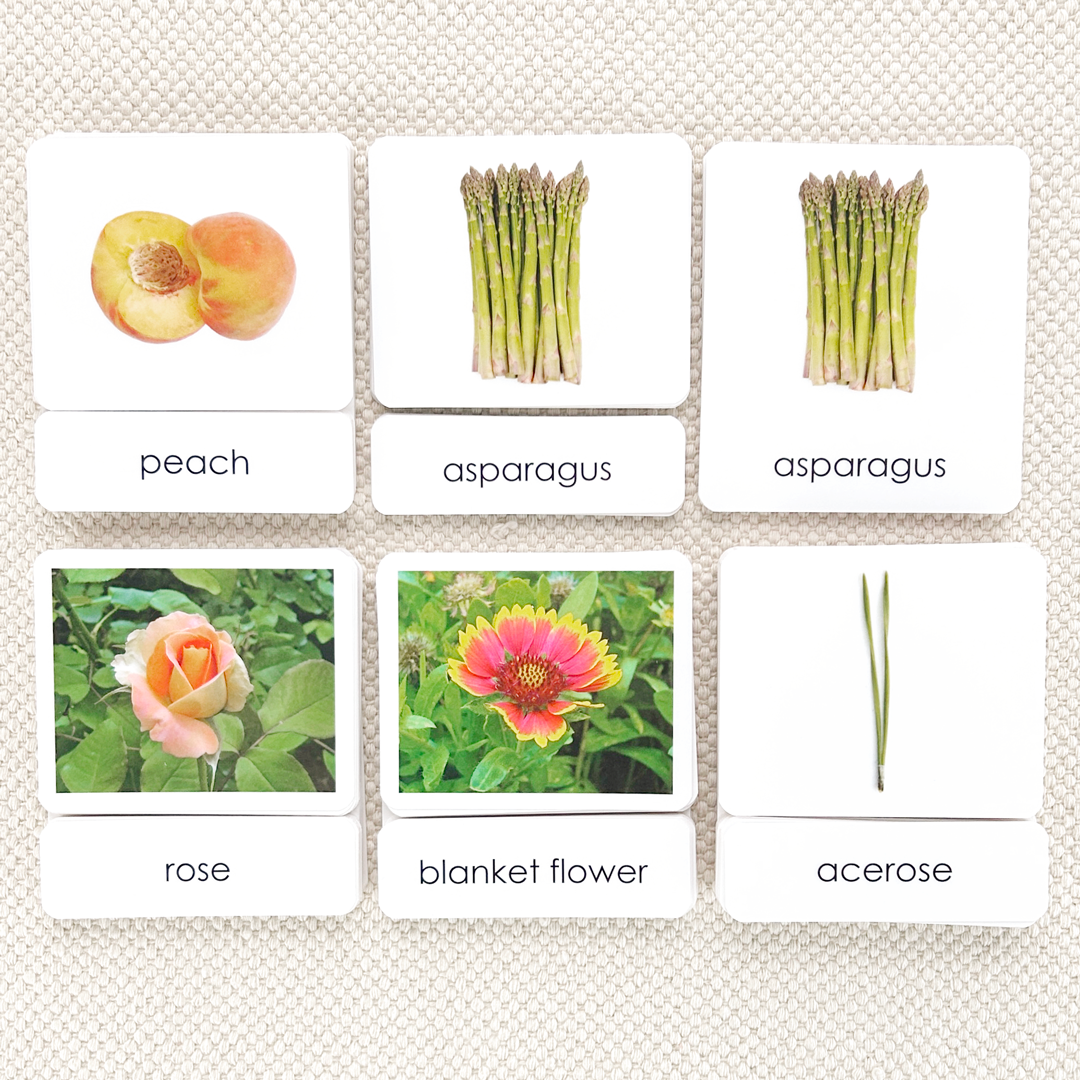 Common Nouns 3-Part Card Bundles