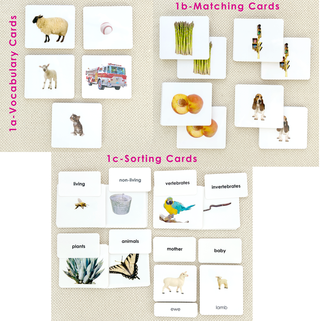 Preschool Literacy Bundles