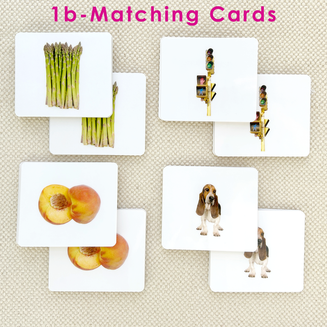 Preschool Literacy Bundles