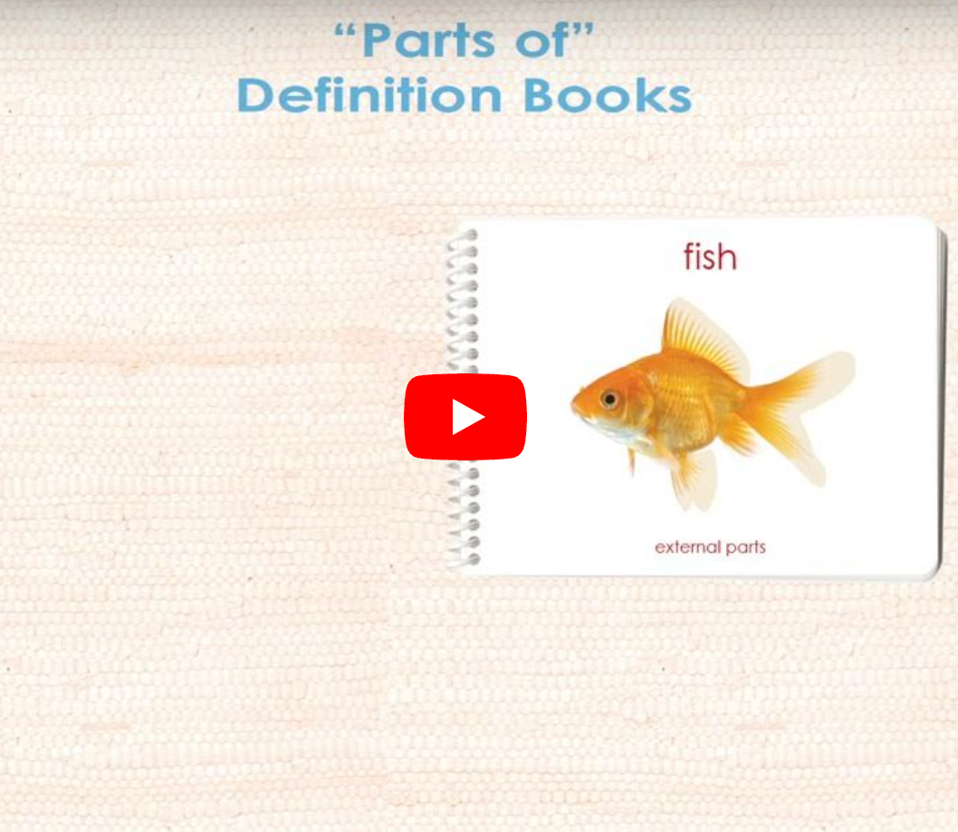 How to use Definition Books