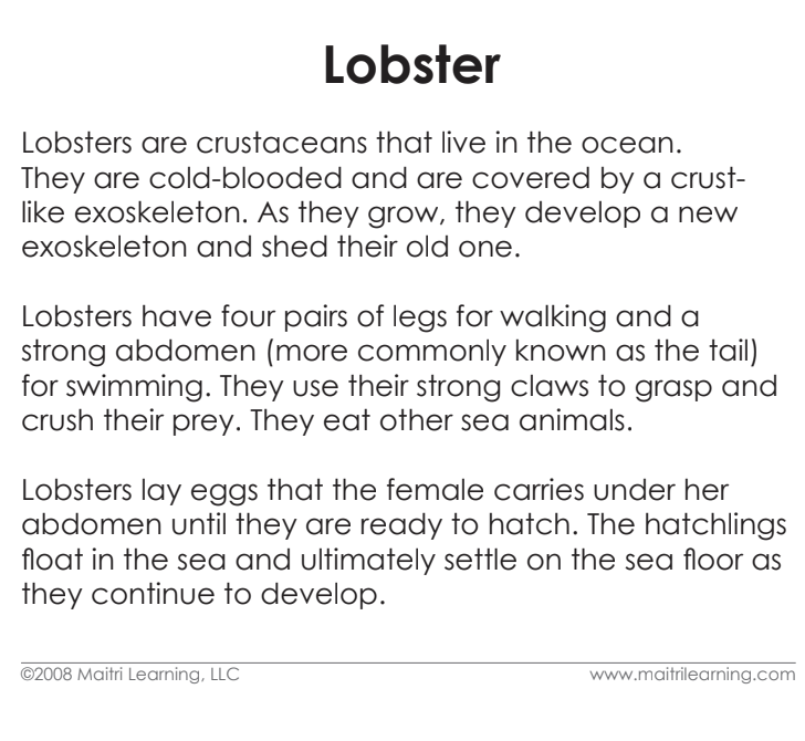 Imperfect Parts of the Lobster Vocabulary - Maitri Learning