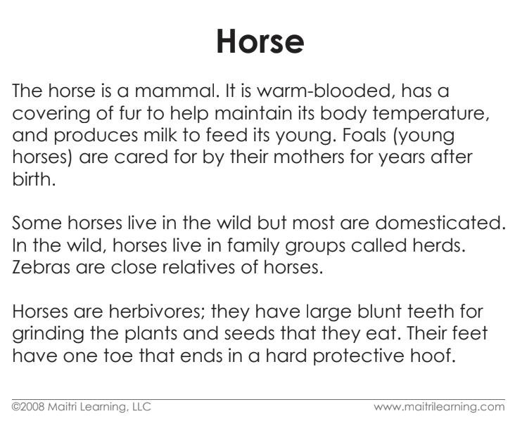 Imperfect Parts of the Horse Vocabulary - Maitri Learning