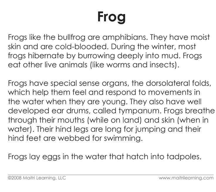 Cardstock Parts of the Frog 3-Part Reading - Maitri Learning