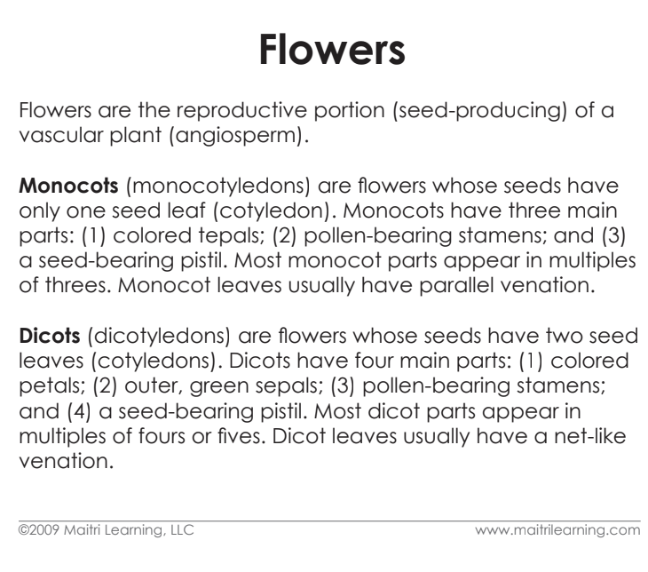 Imperfect Parts of the Dicot Flower Vocabulary - Maitri Learning
