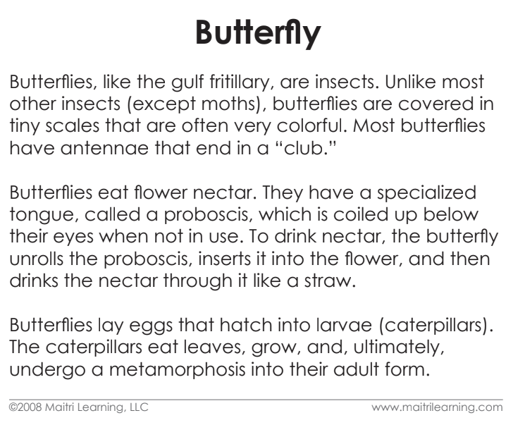 Imperfect Parts of the Butterfly 3-Part Reading - Maitri Learning