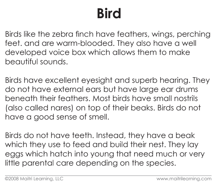 Cardstock Parts of the Bird 3-Part reading cards - Maitri Learning