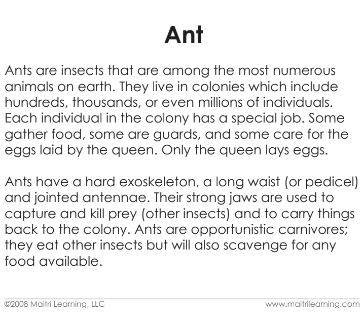 Imperfect Parts of the Ant 3-Part Reading - Maitri Learning