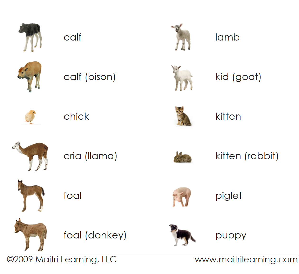 Imperfect Farm Animals (Juvenile) Matching - Maitri Learning