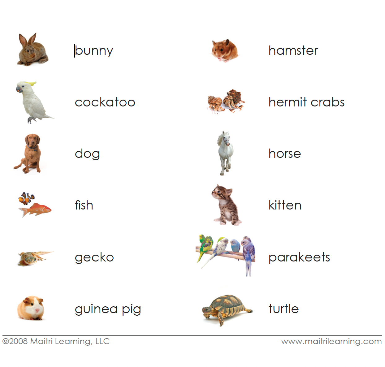 Imperfect Pets Vocabulary - Maitri Learning