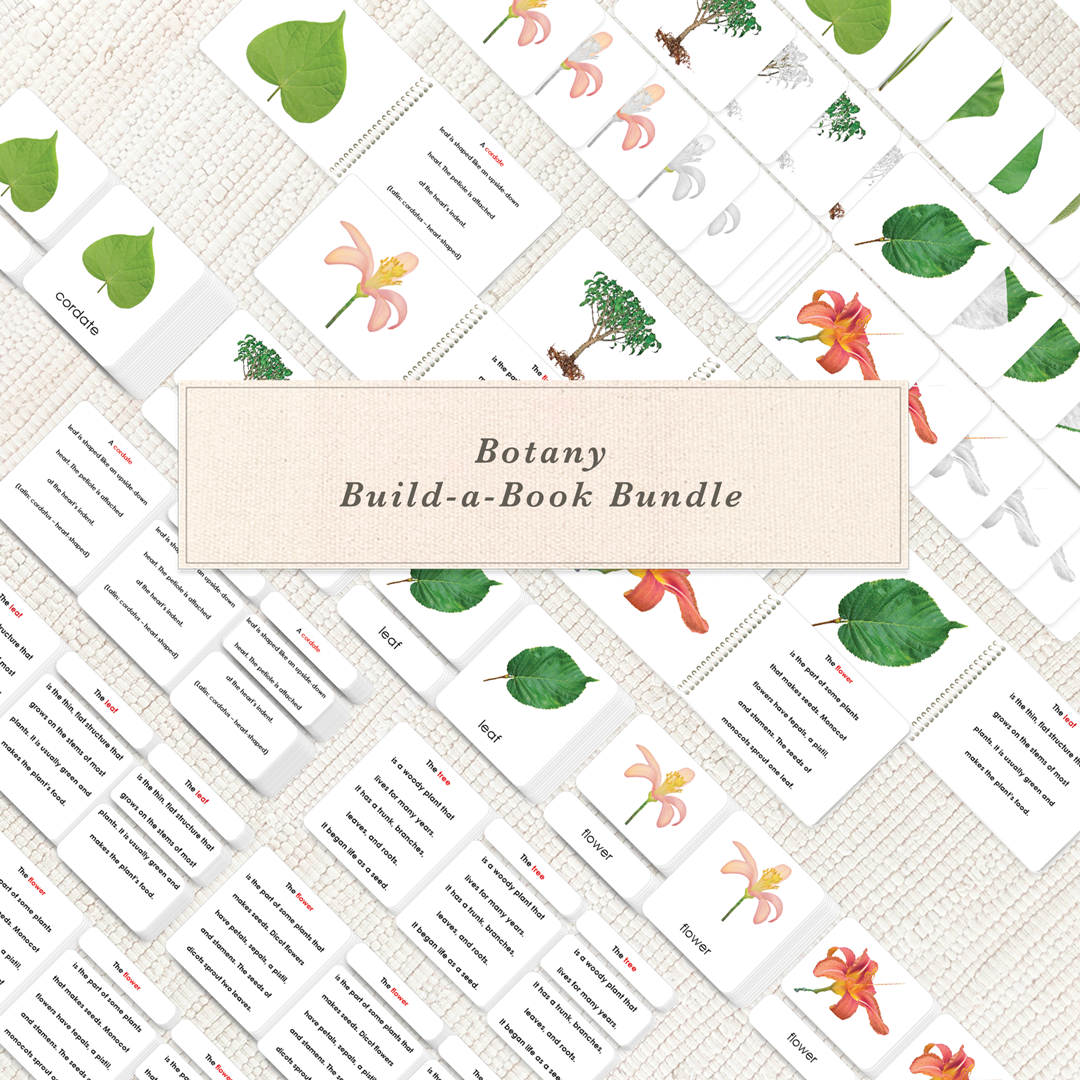 Botany Build-a-Book Bundle - Maitri Learning