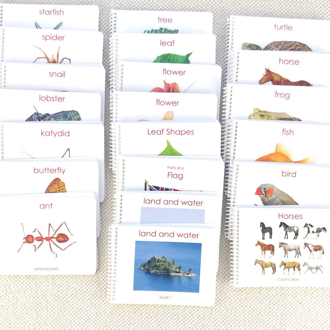 Complete Book Bundle/21