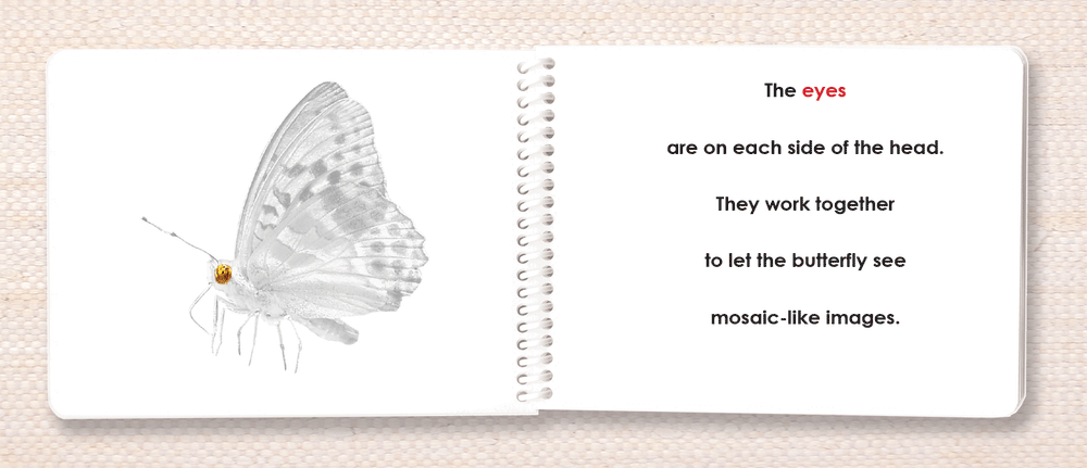 Invertebrates Parts of Book Set - Maitri Learning
