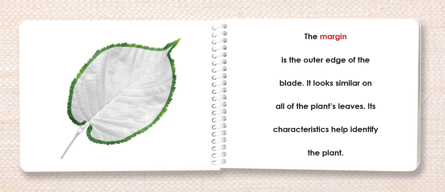 Botany Parts of Book Set - Maitri Learning