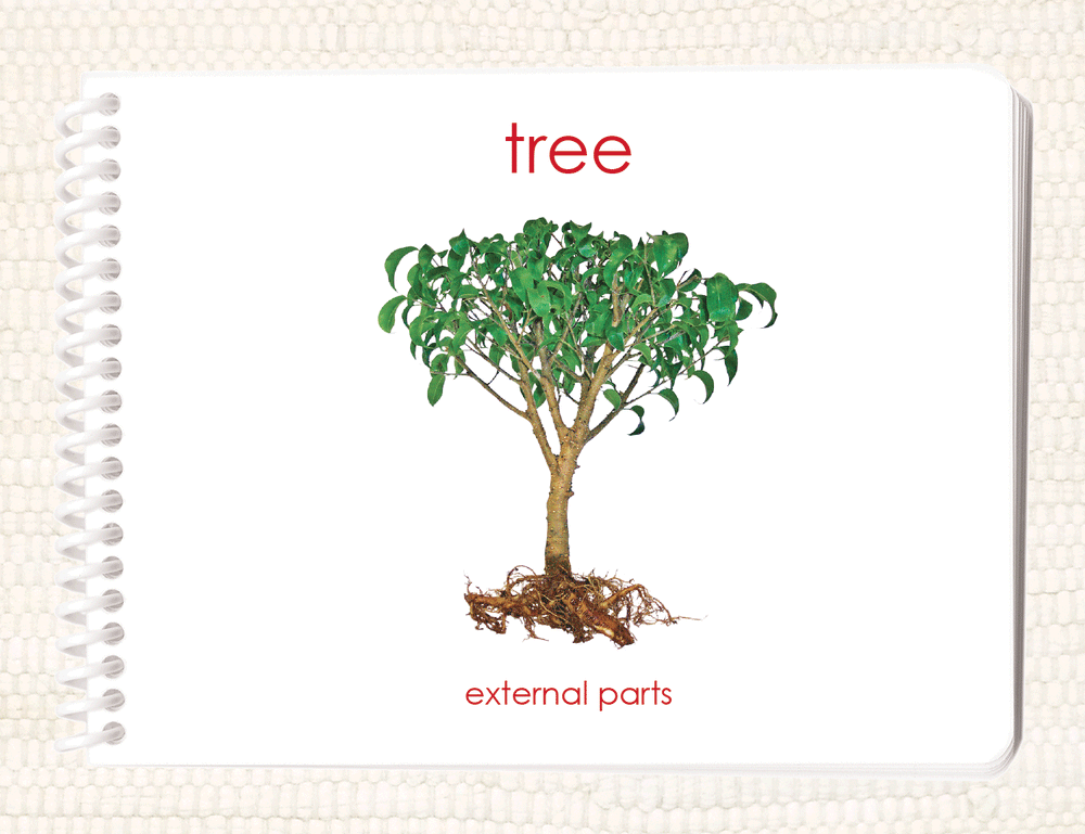Imperfect Parts of the Tree Book - Maitri Learning