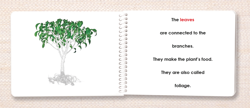 Botany Parts of Book Set - Maitri Learning