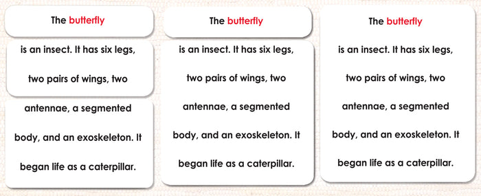 Parts of the Butterfly Book & Card Set - Maitri Learning