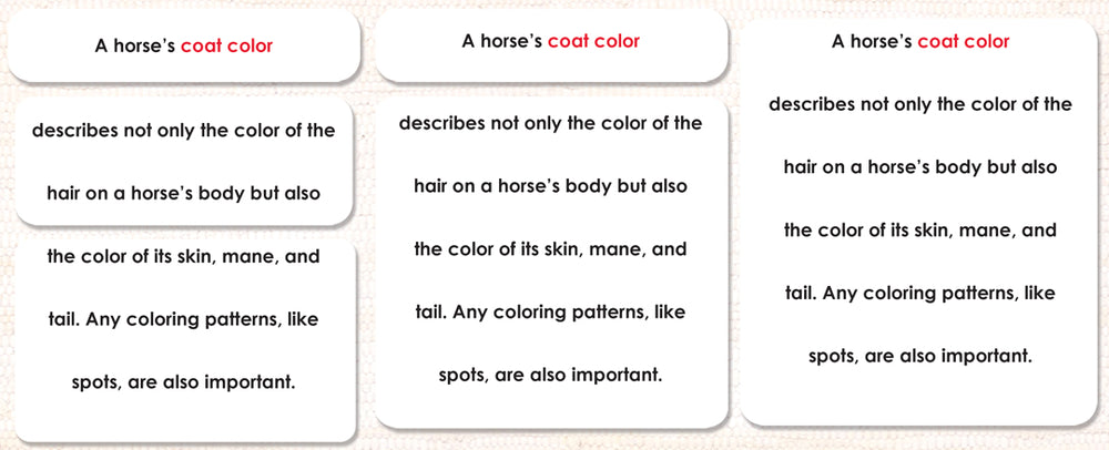 Horses (Coat Colors) Book & Card Set - Maitri Learning
