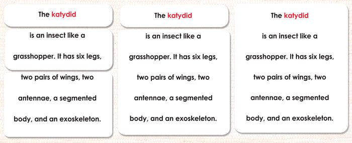 Parts of the Katydid Book & Card Set - Maitri Learning