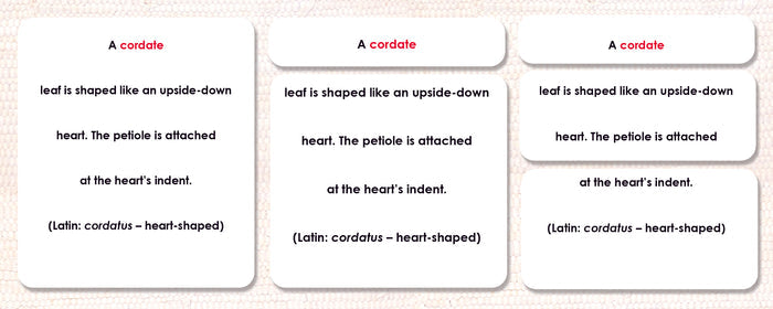 Leaf Shapes Book & Card Set - Maitri Learning
