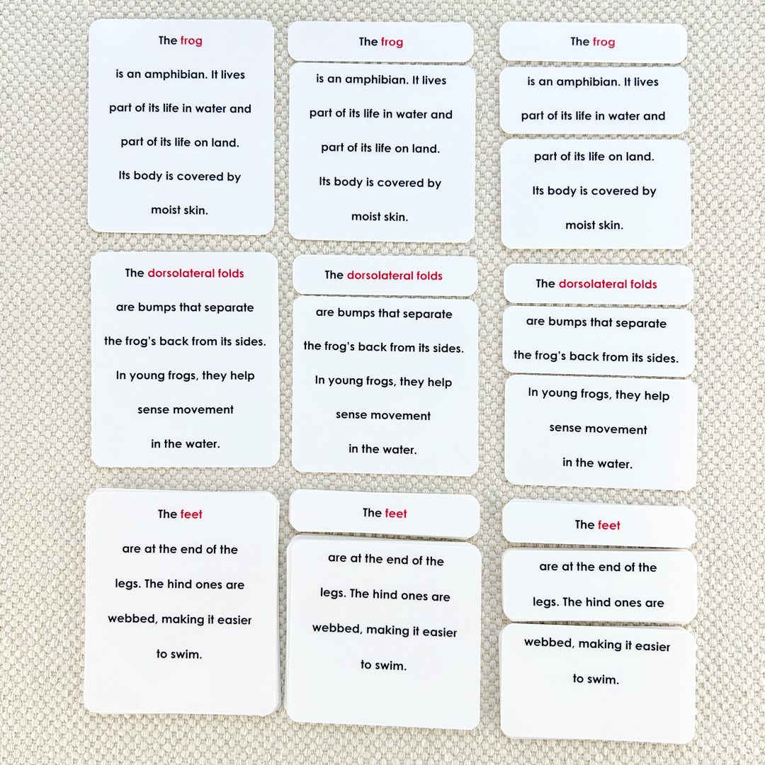 Parts of the Frog Book & Card Set