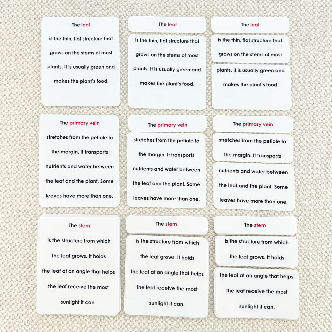 Parts of the Leaf Book & Card Set