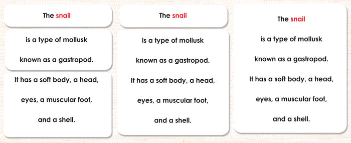 Parts of the Snail Book & Card Set - Maitri Learning