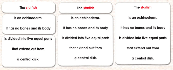 Parts of the Sea Star (Starfish) Book & Card Set - Maitri Learning