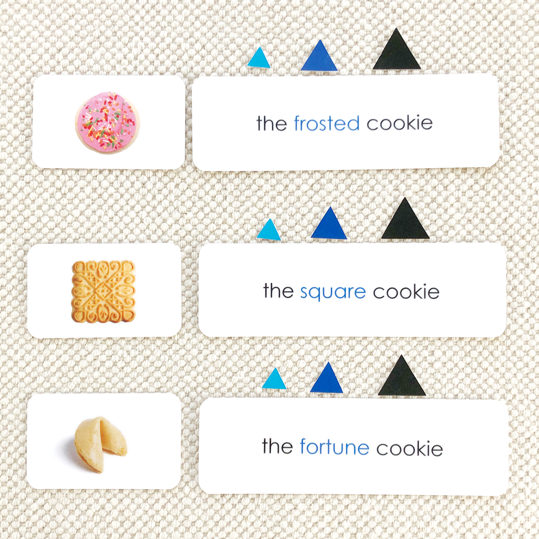 Grammar Step 2: Adjective 1