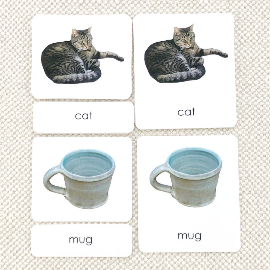 How to use Phonetic Reading Cards