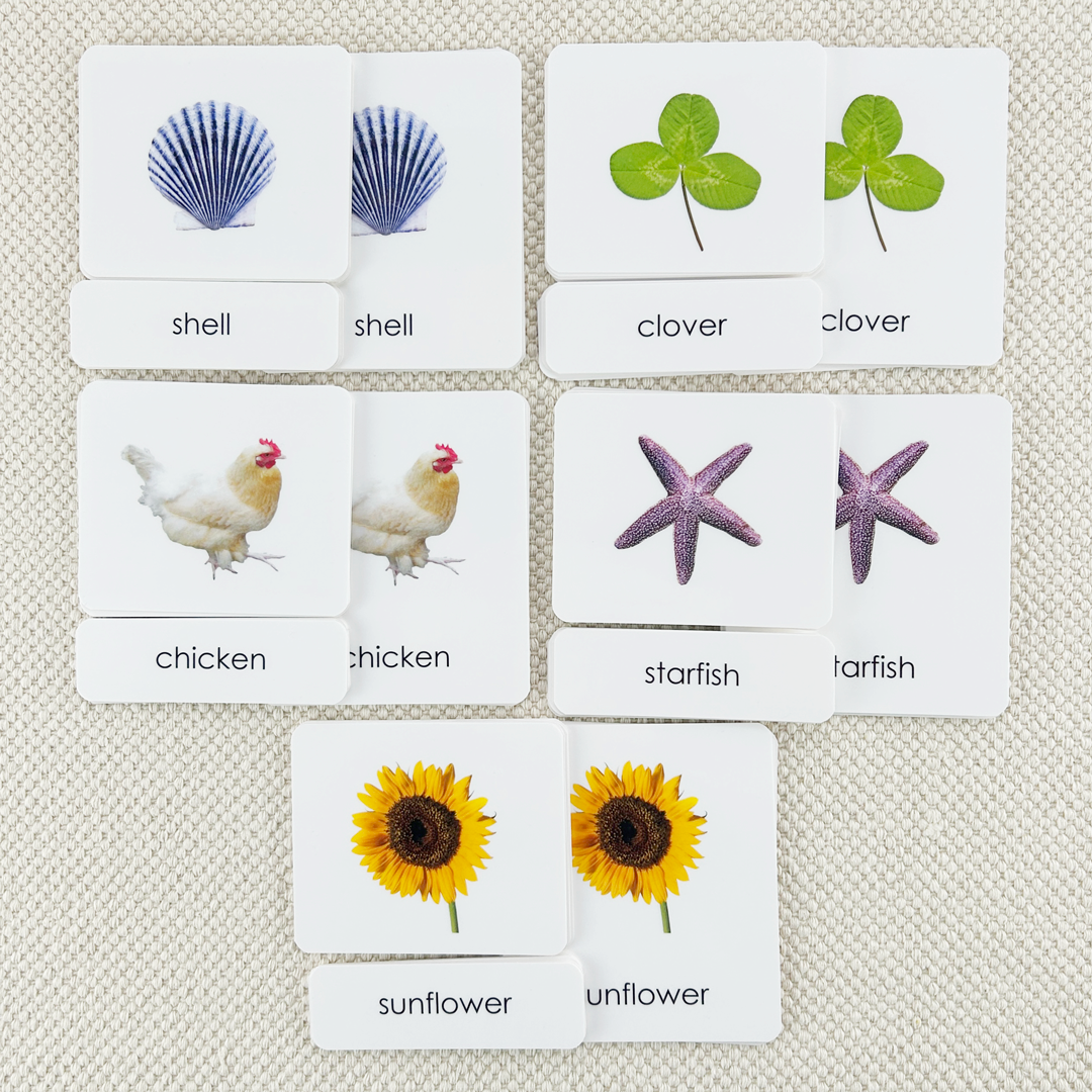 Phonetic Level 4 Set: Challenging Phonetic Words