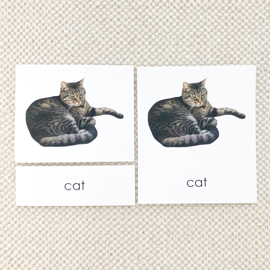 Phonetic Level 1 Set: Cardstock