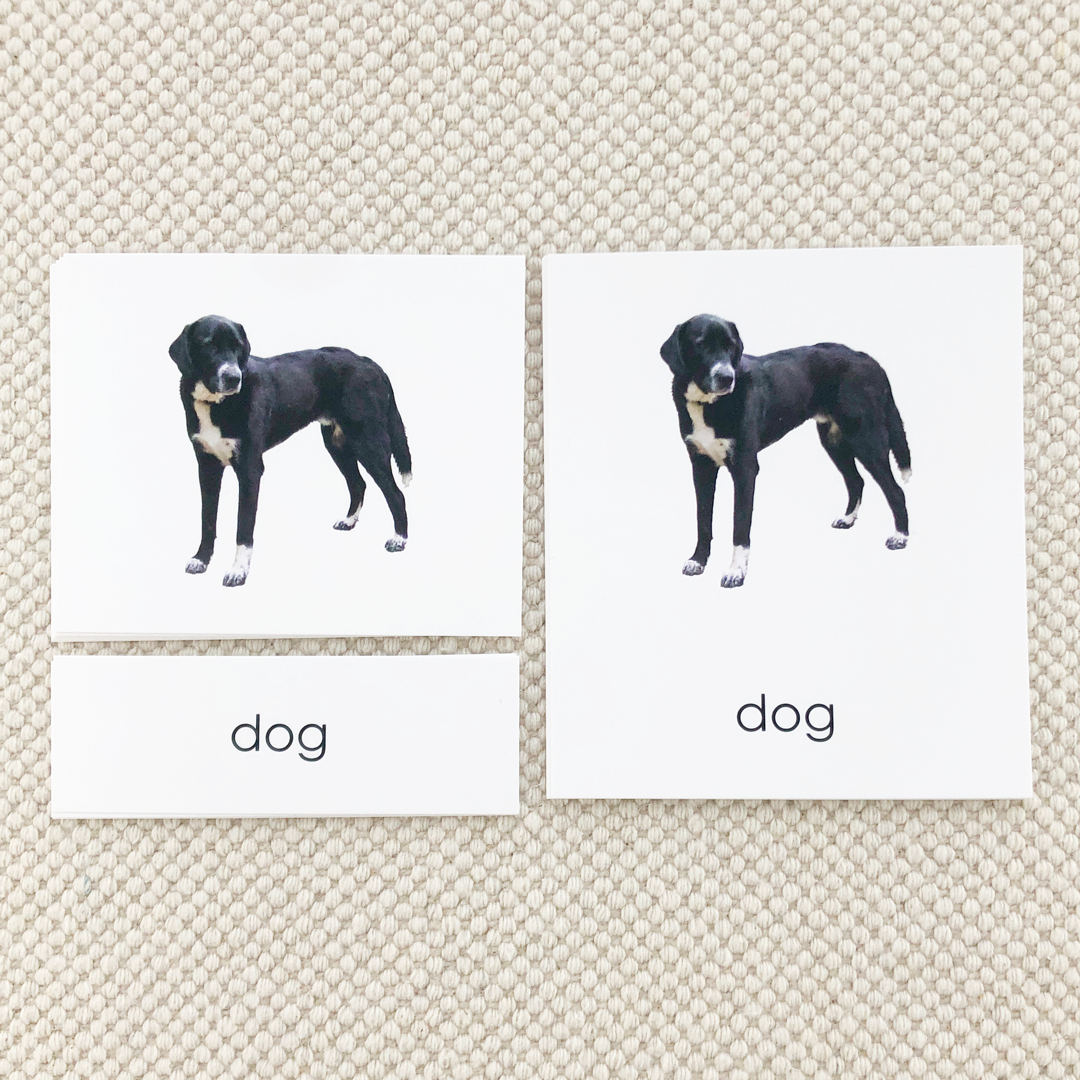 Phonetic Level 1 Set: Cardstock
