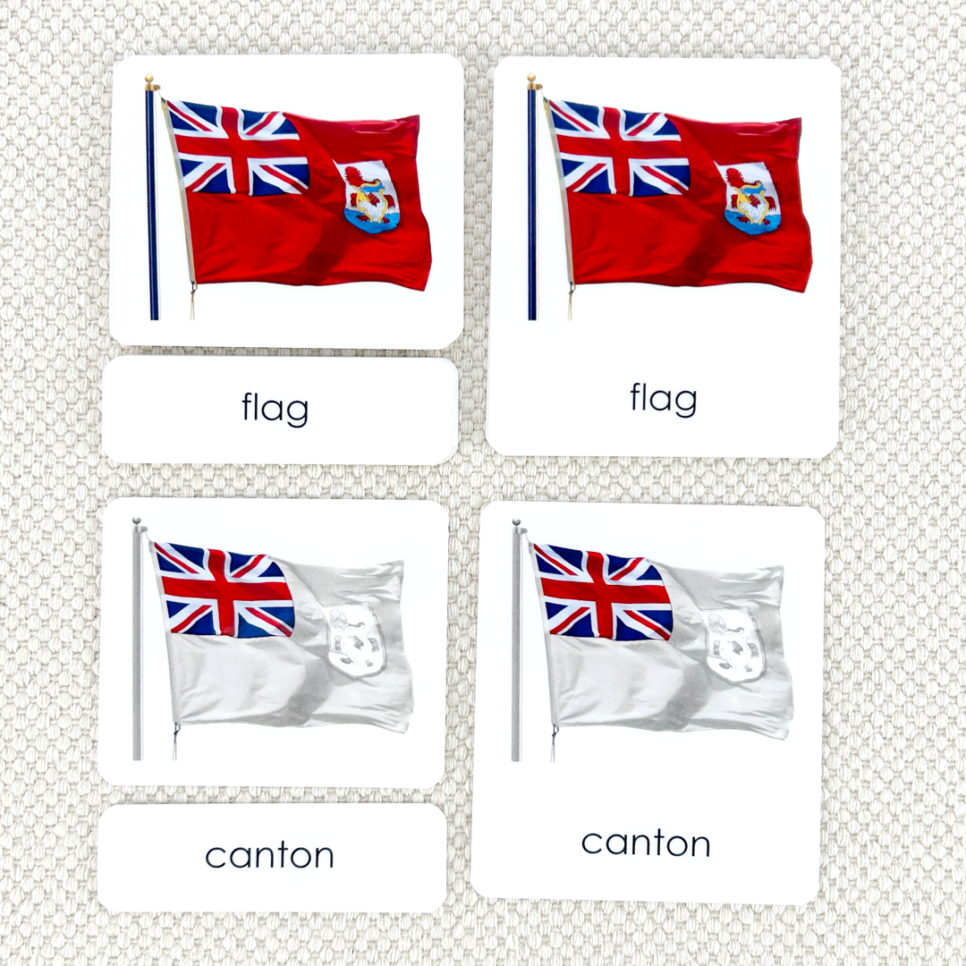 Parts of the Flag 3-Part Reading